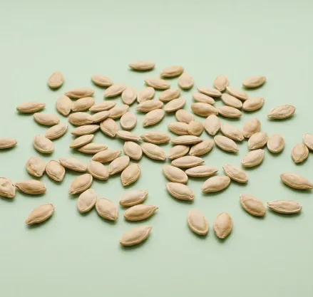 pumpkin seeds