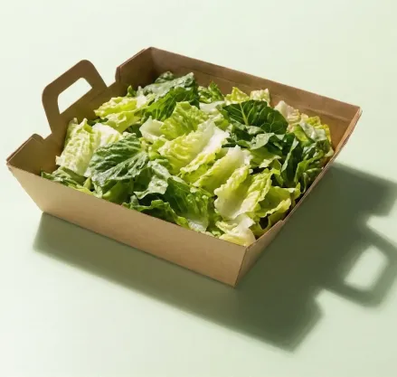 Salad w/ Romaine